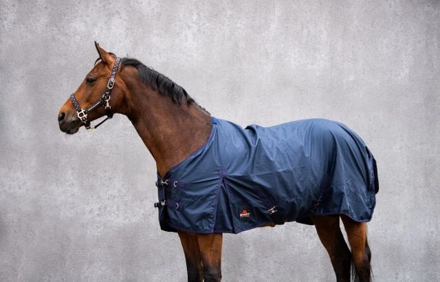 _media_strona_img_produkty_wariant_9093 (1).jpg