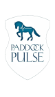 Paddock Pulse - strona główna